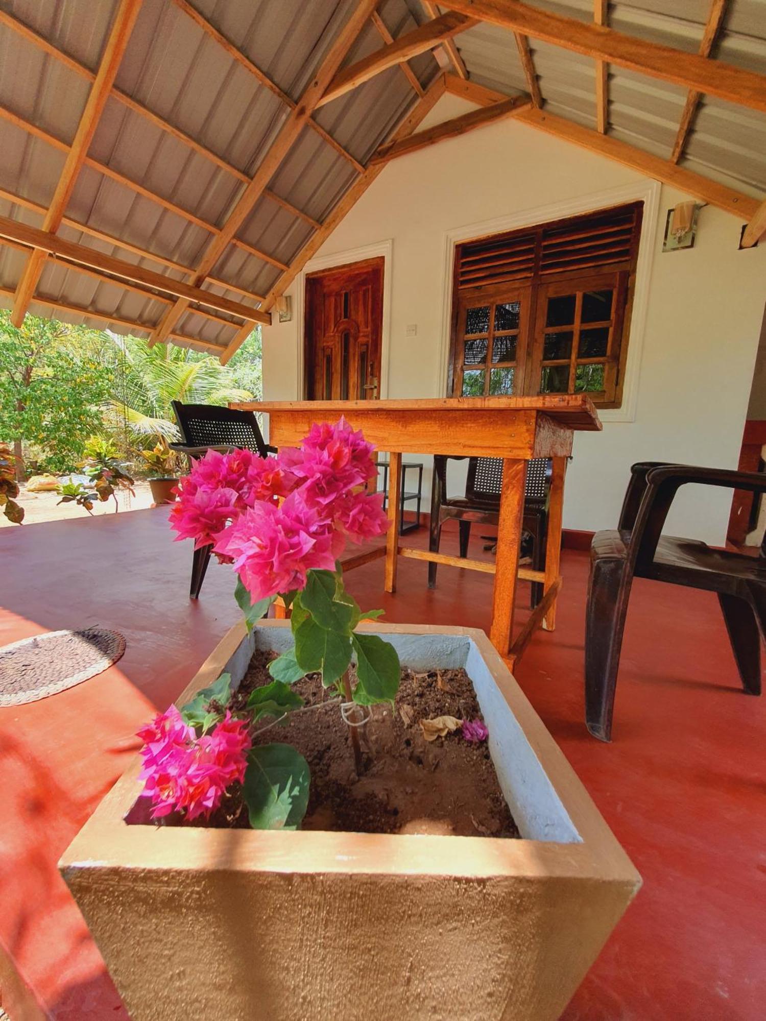 Jungle Eco Lodge & Safari Sigiriya Exterior photo